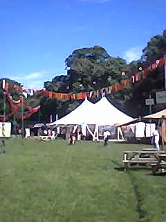 a photo of some gazebo-style tents standing in a field during daytime, in front of some trees. buntings are hung overhead. the weather is clear.